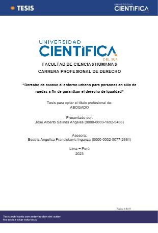 Portada del documento: Derecho de acceso al entorno urbano para personas en silla de ruedas a fin de garantizar el derecho de igualdad