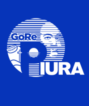 Brayan Miñan - Presidente